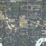 Woodruff, WI (2010, 24000-Scale) Preview 3