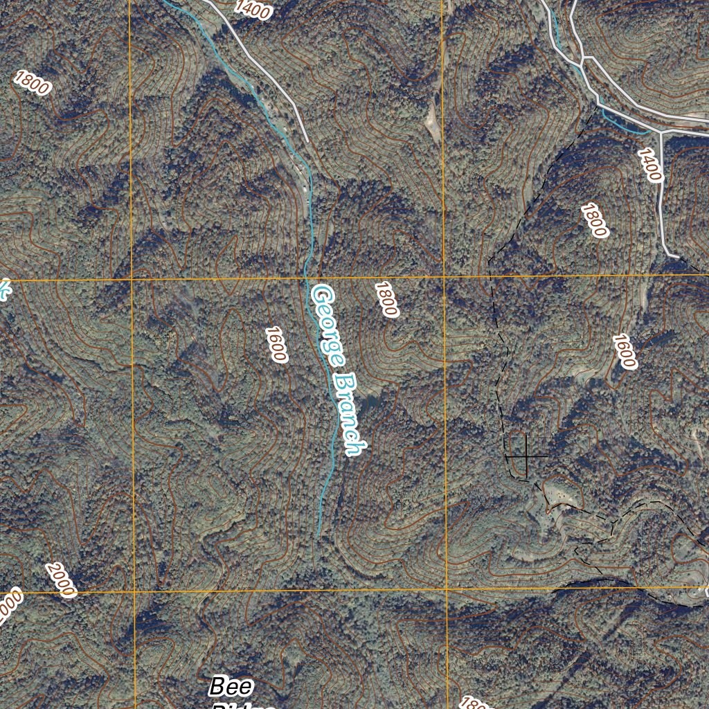 Iaeger, WV (2011, 24000Scale) Map by United States Geological Survey