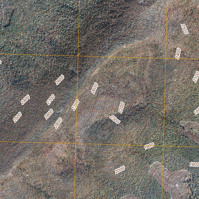 Wardensville, WV-VA (2011, 24000-Scale) Preview 3