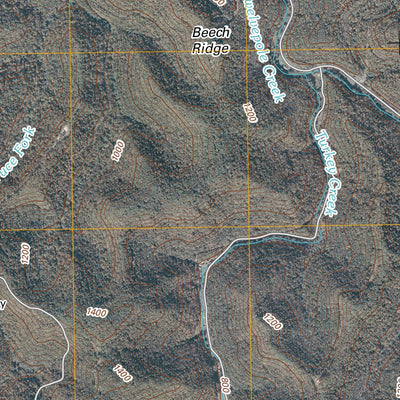 Wilsondale, WV (2010, 24000-Scale) Preview 3