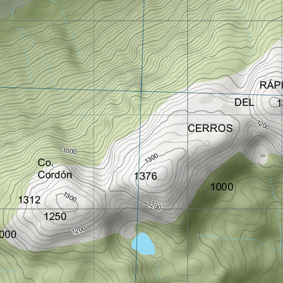 Andes Profundo Cerro Cordón digital map