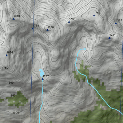 Andes Profundo HORNOPIREN ESTE digital map