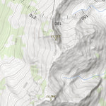 Apogee Mapping, Inc. Mount Champion, Colorado 7.5 Minute Topographic Map digital map