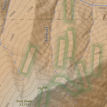 Apogee Mapping, Inc. Mount Elbert, Colorado 7.5 Minute Topographic Map - Color Hillshade digital map