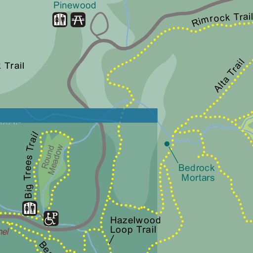 Giant forest cheap trail map