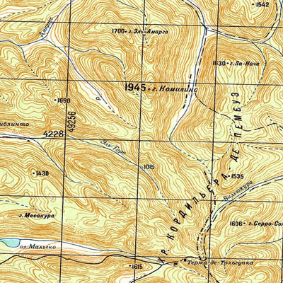 Avenza Systems Inc. Soviet Genshtab - xj19-19--(1985) - Chile digital map