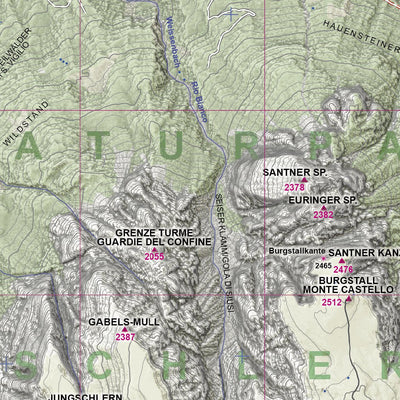 CARTAGO 329 Alpe di Siusi Catinaccio Latemar Nord digital map