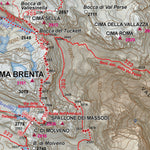 CARTAGO CARTAGO Dolomiti Paganella Official Trekking Map digital map