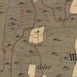 CARTAGO NORIGLIO Mappa originale d'impianto del Catasto austro-ungarico. Scala 1:2880 bundle