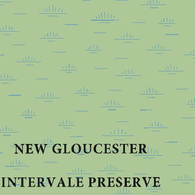 Center for Community GIS New Gloucester Intervale Preserve digital map