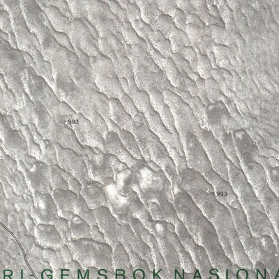 Chief Directorate: National Geo-spatial Information 2520CA DRIEFENDASPAN digital map