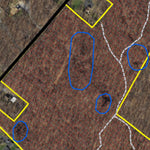 Delaware Forest Service Delaware Forest Serv, Blackbird State Forest, Barlow Tract digital map