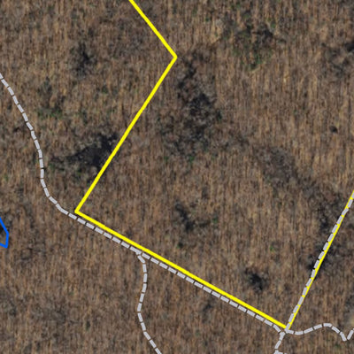 Delaware Forest Service Delaware Forest Serv, Blackbird State Forest, Naudain Tract digital map