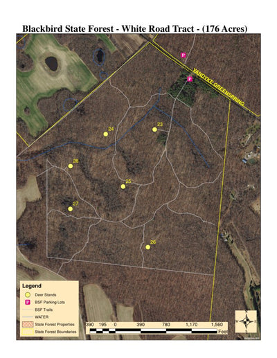 Delaware Forest Service Delaware Forest Serv, Blackbird State Forest, White Road Tract digital map