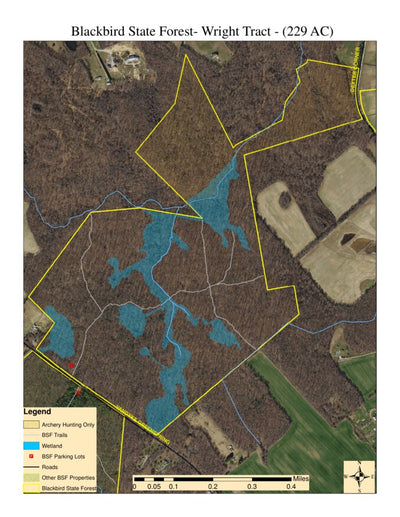 Delaware Forest Service Delaware Forest Serv, Blackbird State Forest, Wright Tract digital map