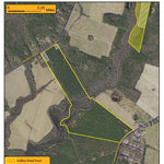 Delaware Forest Service Delaware Forest Serv, Redden State Forest, Collins Pond Tract digital map