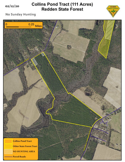 Delaware Forest Service Delaware Forest Serv, Redden State Forest, Collins Pond Tract digital map