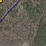 Delaware Forest Service Delaware Forest Serv, Redden State Forest, Rayne tract digital map