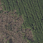 Delaware Forest Service Delaware Forest Serv, Redden State Forest, Sill tract digital map