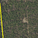 Delaware Forest Service Delaware Forest Serv, Redden State Forest, Sill tract digital map