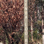 Design Interaction Davies Plain 16 bundle exclusive