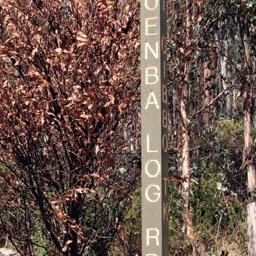 Design Interaction Davies Plain 16 bundle exclusive