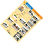 Design Interaction Davies Plain 4 bundle exclusive