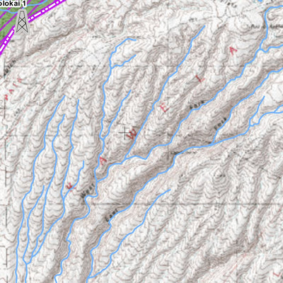 Division of Forestry and Wildlife Moloka‘i Island Recreation Map digital map