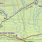 Eyes Up Adventure Co. Maine AT Trail Map #7: The Bigelow Mountains digital map