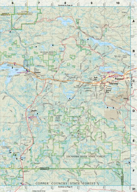 Garmin Michigan Atlas & Gazetteer Page 31 digital map