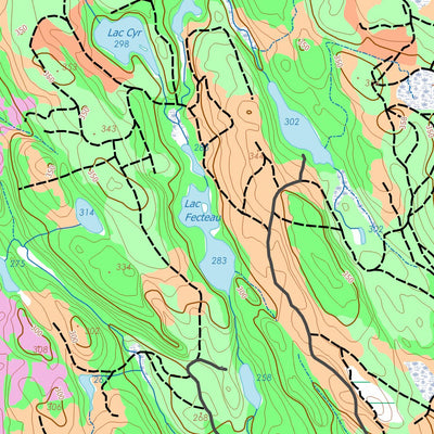 GPS Quebec inc. PETITE RIVIERE DE LA TRINITE digital map