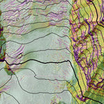 GPSki Maps Slope Hazard Map - Mount Rainier digital map