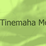 HuntData LLC California Elk Hunting Zone Tinemaha_Mtn Map digital map