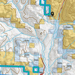 Idaho HuntData LLC Idaho General Unit 49 Land Ownership Map digital map