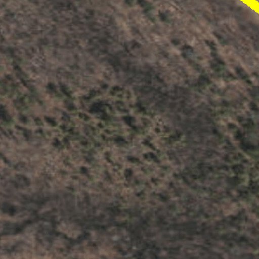 Indian Ladder Farms Nature Trails Map by Indian Ladder Farms | Avenza Maps