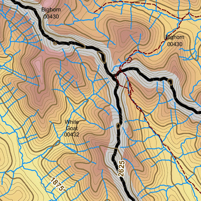 Juan Roubaud GIS Consulting WMU 430 Bighorn digital map