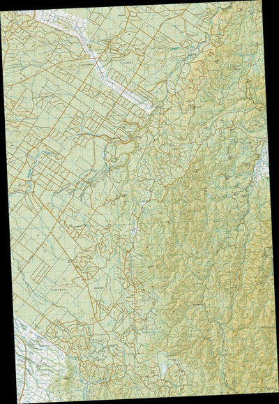 Land Information New Zealand BG38 - Wairapukao digital map