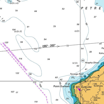 Land Information New Zealand Chatham Islands digital map