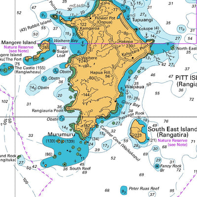 Land Information New Zealand Chatham Islands digital map