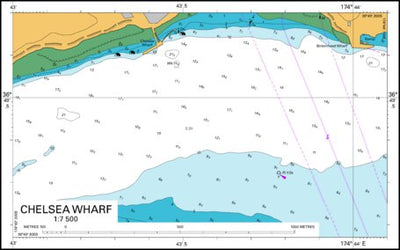 Land Information New Zealand Chelsea Wharf digital map