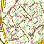 Landesamt für Vermessung und Geobasisinformationen Rheinland-Pfalz Armsheim (1:25,000) digital map