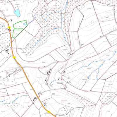 Landesamt für Vermessung und Geobasisinformationen Rheinland-Pfalz Brimingen (1:5,000) digital map