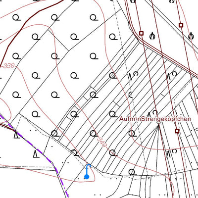 Landesamt für Vermessung und Geobasisinformationen Rheinland-Pfalz Dieblich 3 (1:5,000) digital map