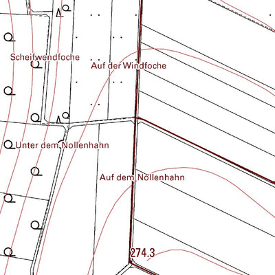 Landesamt für Vermessung und Geobasisinformationen Rheinland-Pfalz Eulenberg (1:5,000) digital map