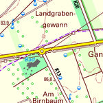 Landesamt für Vermessung und Geobasisinformationen Rheinland-Pfalz Gau-Algesheim (1:25,000) digital map