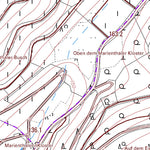 Landesamt für Vermessung und Geobasisinformationen Rheinland-Pfalz Grafschaft 5 (1:5,000) digital map