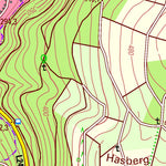 Landesamt für Vermessung und Geobasisinformationen Rheinland-Pfalz Kyllburgweiler (1:25,000) digital map