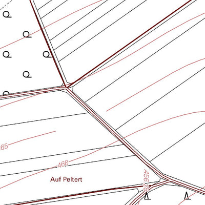 Landesamt für Vermessung und Geobasisinformationen Rheinland-Pfalz Landkern 1 (1:5,000) digital map