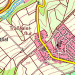 Landesamt für Vermessung und Geobasisinformationen Rheinland-Pfalz Leiningen (1:25,000) digital map