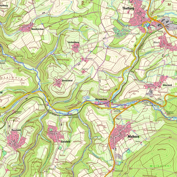 Malborn (1:25,000) Map by Landesamt fur Vermessung und ...